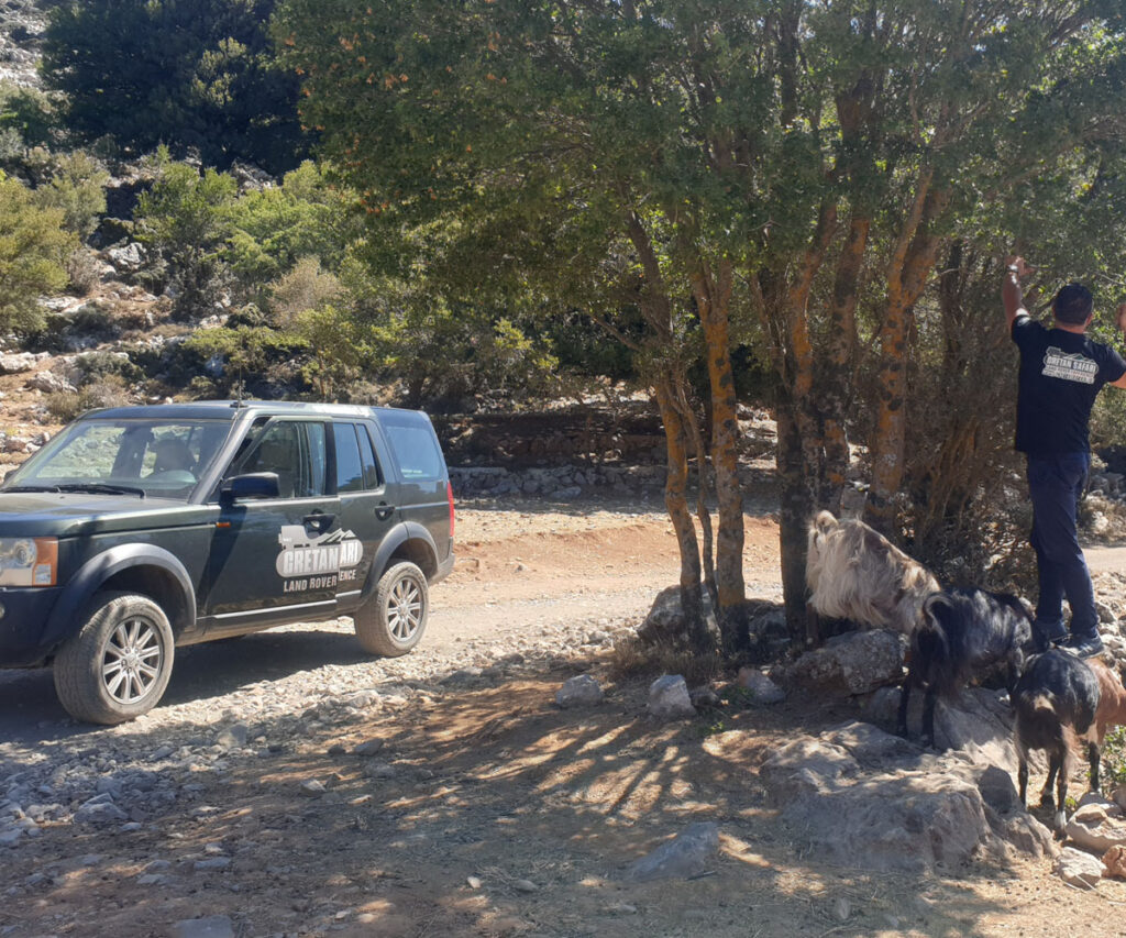 private tour