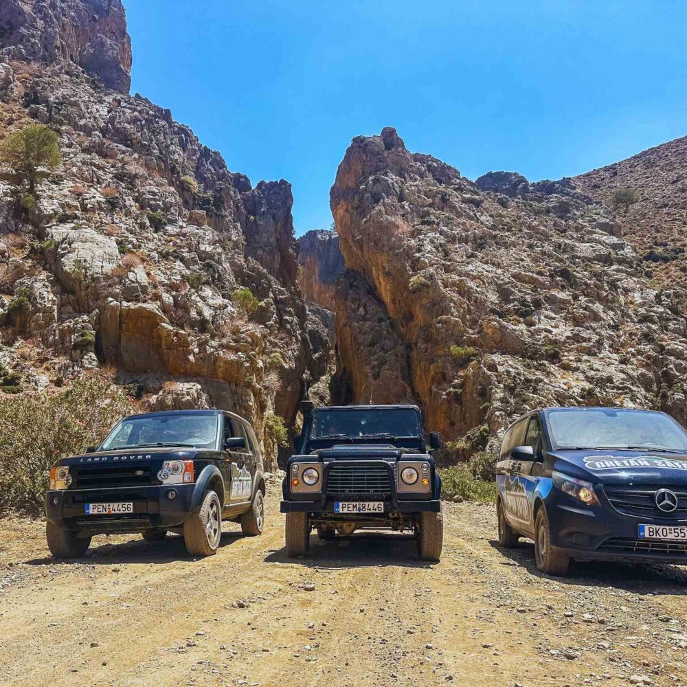 Tripiti Safari Tour